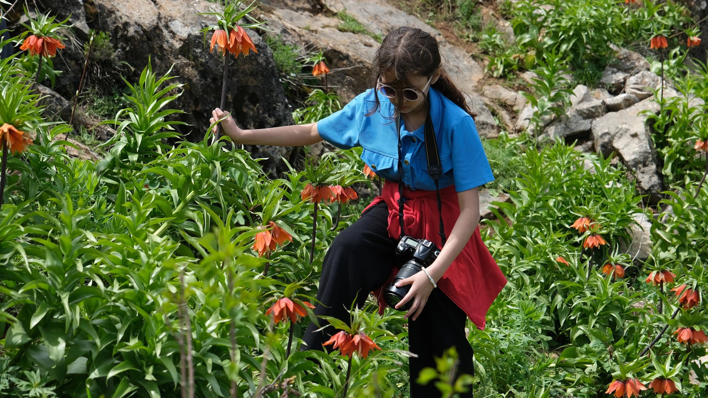 Girl with camera in a flower field